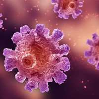  وبینار نوآوری در اداره HPV