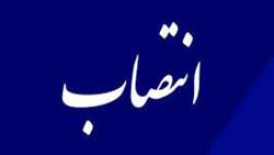 انتصاب دکتر ناصر سیم فروش به عنوان مشاور عالی وزیر بهداشت