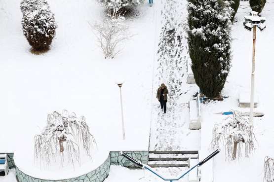 دانشگاه سفیدپوش شد