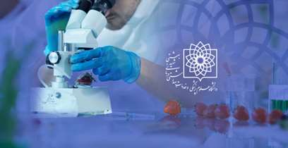 کسب رتبه اول دانشگاه در ارزیابی عملکرد معاونت‌های غذا و داروی کشور