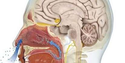 از دست دادن حس بویایی و چشایی، یکی دیگر از علائم احتمالی کرونا