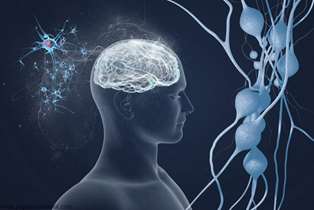 همکاری های بین بخشی در حوزه علوم حقوق و اخلاق عصب شناختی توسعه می‌یابد