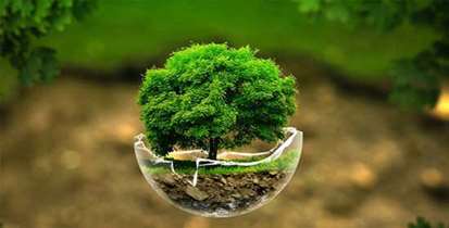 وبینار گرامیداشت روز جهانی زمین پاک برگزار می شود