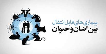 ورود دام های قاچاق تهدید جدی برای شیوع بیماری های زئونوز