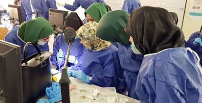 برگزاری کارگاه آموزش  سیستمهای روتاری ، رسیپروکال روی دندان و بلوک آکریلی برای دانشجویان