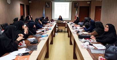 دومین کارگاه آموزشی پیگیری مادران باردار پرخطر برگزار شد