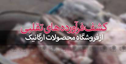 کشف 93 قلم فرآورده‌ تقلبی و فاقد مجوز از فروشگاه محصولات ارگانیک 