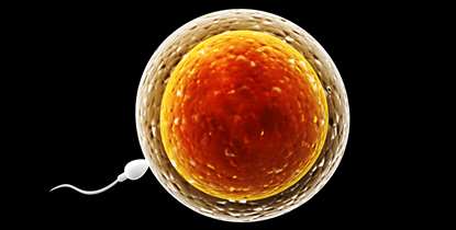 نخستین کنگره نایاروری مردان برگزار می شود