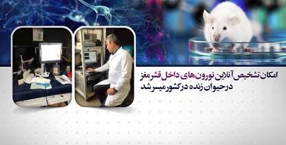نرم افزار تشخیص آنلاین نورون های داخل قشر مغز در حیوان ساخته شد