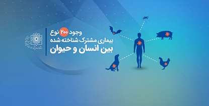 وجود 200 نوع بیماری مشترک شناخته شده بین انسان و حیوان/  ۶۰ درصد بیماری‌های عفونی منشا حیوانی دارند