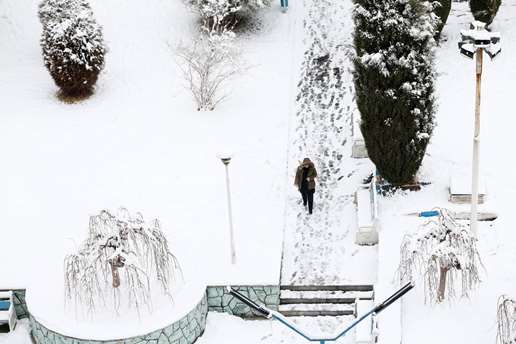 دانشگاه سفیدپوش شد